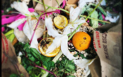 2025 Compost Drop-Off Open